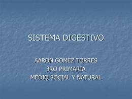 SISTEMA_DIGESTIVO_AARON