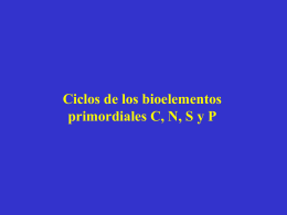 2 - BioScripts