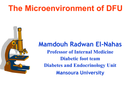 The Microenvironment of DFU