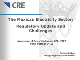 The Mexican electricity market situation