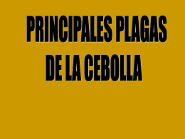 Diapositiva 1 - BibliotecaDeaMag