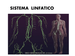 Sistema linfatico - Colegio Los Aromos