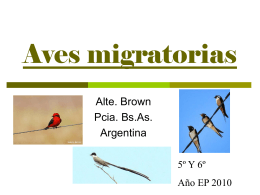Aves migratorias_final