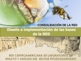 MISION-CONSTITUCION DE LA RED-Dr.Rolando