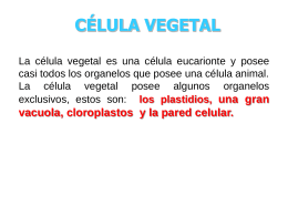 la_celula_vegetal