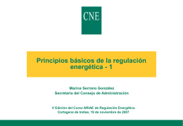 La CNE como regulador independiente