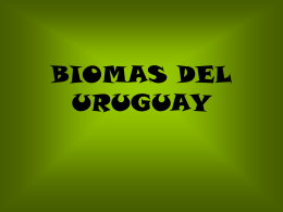 BIOMAS DEL URUGUAY (7764480)
