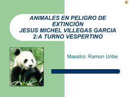 Jesus Michel Villegas Garcia