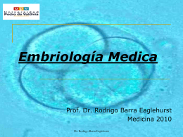 Embriología Medica