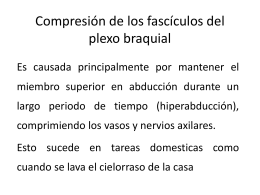 Compresión de los fascículos del plexo braquial