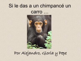 Si le das a un chimpancé un carro…
