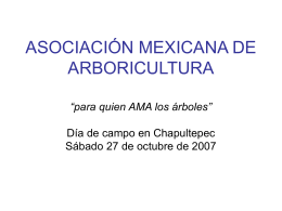 para quien AMA los árboles - Asociación Mexicana de Arboricultura