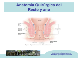 Anatomía Quirúrgica del Recto y ano