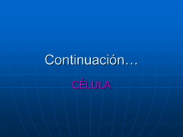 Continuación.. célula pp 3