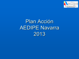Plan Acción 2013