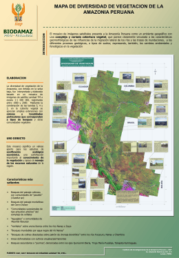 mapa de diversidad de vegetacion de la amazonia peruana