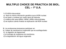 multiple choice del choice de practica de biol. cel – 1º ua