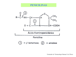 estructura química básica de penicilinas y cefalosporinas
