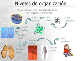 NIVELES DE ORGANIZACION.
