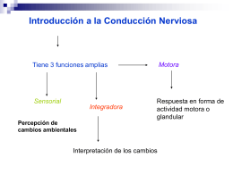 Introducción a la Conducción Nerviosa