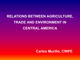 The Relation between Trade and Development of Sustainable