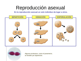 Reproducción asexual - cienciasnaturalesgtb