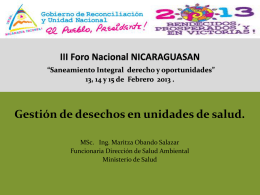 minsa FORO NICARAGUASAN 2013 vfmos