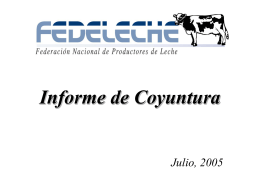 Informe de Coyuntura Julio, 2005