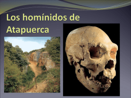 Los homínidos de Atapuerca - ies claudio sanchez albornoz