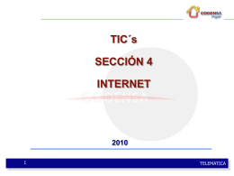 4. (TICS 2010 2) INTERNET