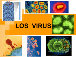 VIRUS - Microbiología 105
