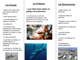 ¡Los Tiburones son en peligro de extinción!