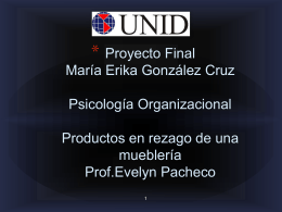 Proyecto integrador María Erika González Cruz Psicología