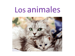 diapositivas. ANIMALES Y FAMILIAS