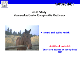 Outbreak of Venezuelan Equine Encephalitis – Public health and