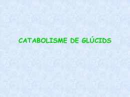 Catabolisme_de_Glucids