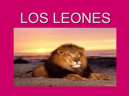 LOS LEONES - pluritextos