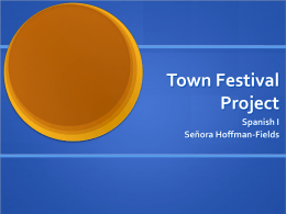 Town Festival Project