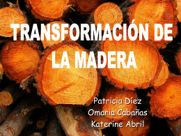 TRANSFORMACION DE LA MADERA - tecnologiaindustrialuno2010