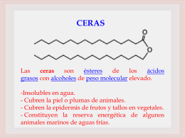 Ciclo de Krebs - quimicabiologicaunsl