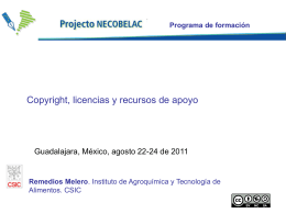 Reme Melero: Copyright y licencias de uso