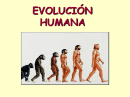 EVOLUCIÓN - Bienvenidos al IES Julio Verne