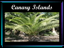 Canary Island
