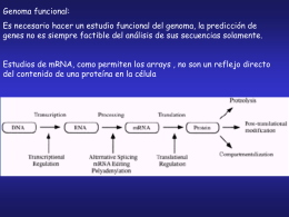 teorica_genomica_y_proteomica_2