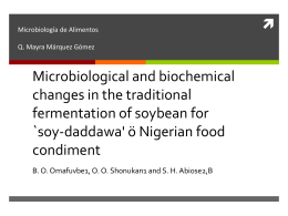 soy-daddawa` ö Nigerian food condiment BO Omafuvbe1, OO