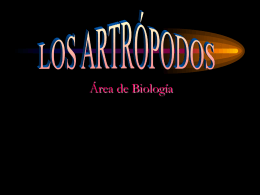 artropodos1 (863232)