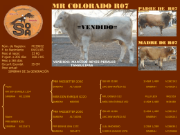 R07 - Ranchos Colorado y Don Enrique