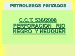 petroleros priv cct 536 2008