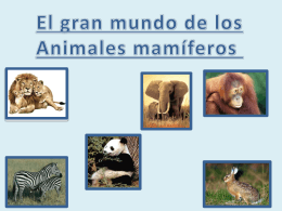 Presentación mamiferos webquest