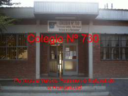Colegio Nº 730